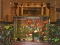 阿拉丁罗廊巷-阿拉丁新疆风味餐厅·清真(罗廊巷店)