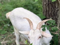 -鬼笑石后山停车场