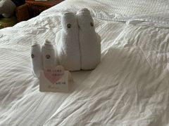 -三亚亚龙湾雅高美爵酒店