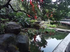 -荔枝公园(福田区)