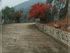 -北京鹫峰国家森林公园