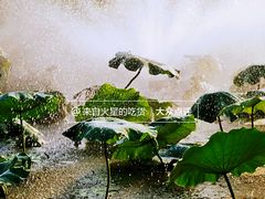 -前关湿地公园