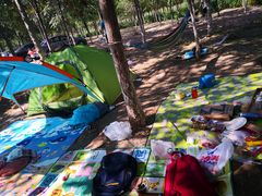 -天津武清北运河郊野公园房车露营地