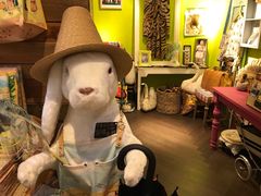 -恋物百货商店(华侨城店)