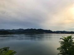 -望湖烤鱼