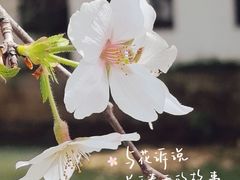 -苏州上方山国家森林公园