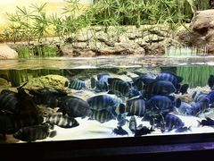 -上海海洋水族馆