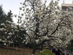 -陕西师范大学(雁塔校区)