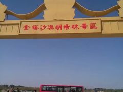 -金塔沙漠胡杨林景区