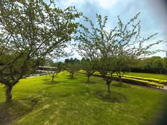 -同济大学(嘉定校区)