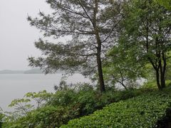 -天目湖涵田度假村