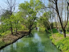 -西溪国家湿地公园