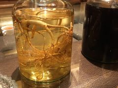 -碧丽宫大酒店(召稼楼店)