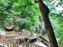 -洛阳白云山景区