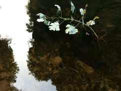 iphone_upload_pic-郭亮村