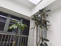 -HEYAN荷妍专业脱毛连锁机构
