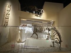 -国家自然博物馆