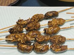 烤金蝉-鑫悦诚府·新鲁菜·餐厅(趵突泉店)
