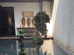 -觀芷隐轩