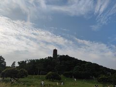 -红花山公园