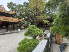 -普陀山风景名胜区-法雨禅寺
