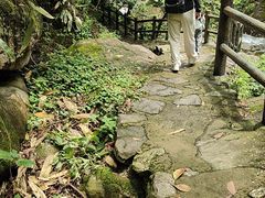 -安吉龙王山风景区