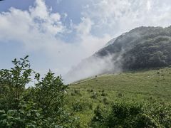 -白草畔自然风景区