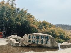 -南湾湖
