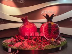 -中国石榴博物馆