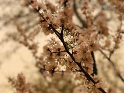 -北京七彩云南翡翠珠宝旗舰店(月坛店)