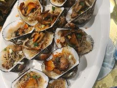 -邵年鸽(杨庄店)