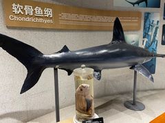 -青岛海底世界-水族馆