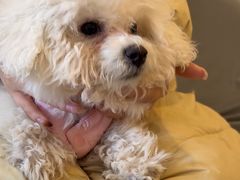 -宠颐生汉谟拉比宠物医院