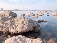 -东疆建设开发纪念公园