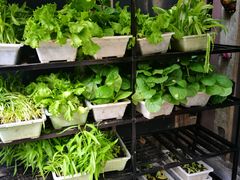 -旅马餐厅(茅家埠店)