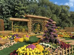 -上海共青森林公园