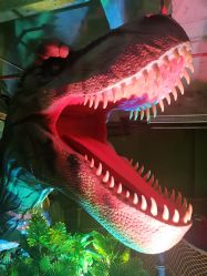 -恐龙探索乐园(磁器口店)