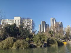 -西苑公园