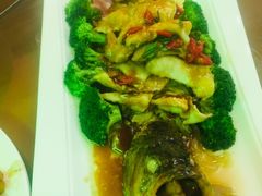 藤椒鱼-白魁老号饭庄(交道口店)
