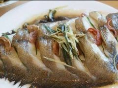 -普天和酒楼·新津菜·烤鸭(天津之眼店)