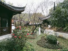 -十八棵（老龙井）御茶园(老龙井店)