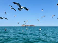-海驴岛(荣成市)