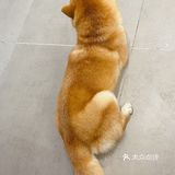 罗记乐山翘脚牛肉，找到了回忆里的味道