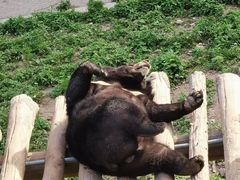 -大连森林动物园