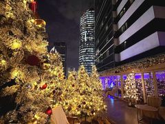 -城市露台景观餐厅(淮海路店)