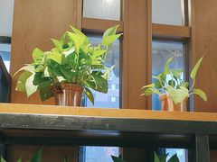 -江小渔鲜鱼火锅(西二道街店)