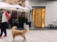 -DRUNK BAKER(上海陕康里店)
