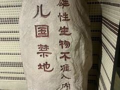 -金逸影城(光美宝龙巨幕店)