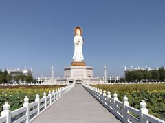 -呼兰河口湿地公园