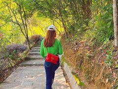 -广州白江湖森林公园